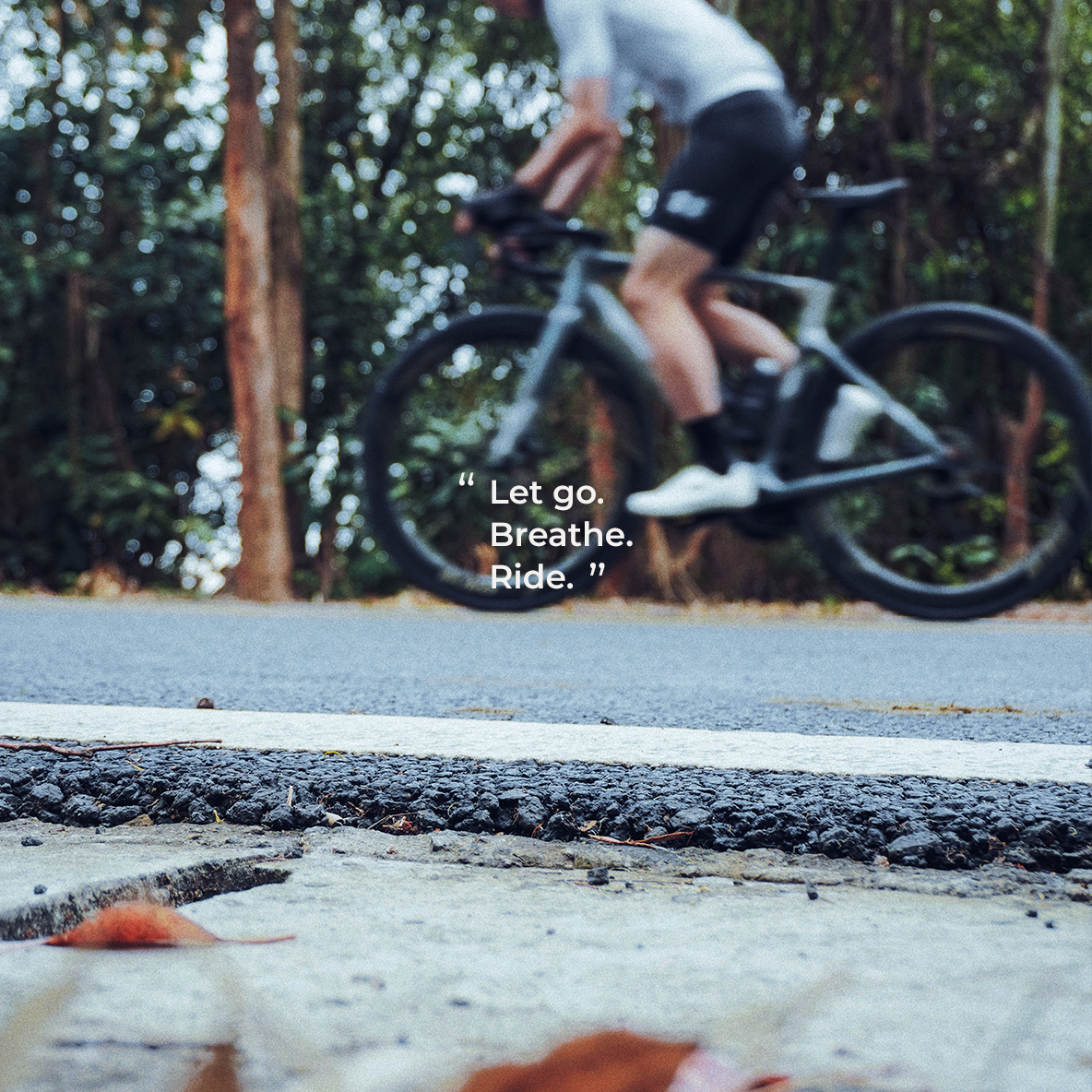 evolve frame banner-5