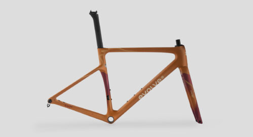 evolve_CIMA-Wilderness Bold-1