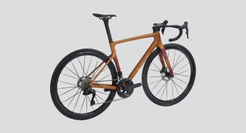 evolve_CIMA-Wilderness Bold-9