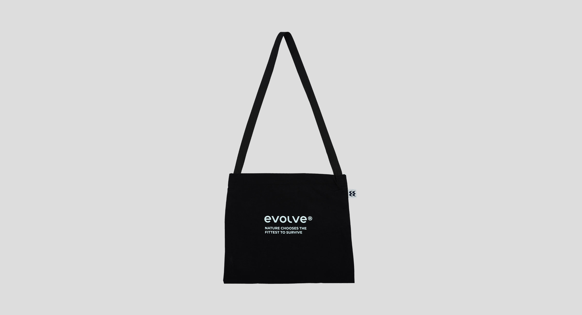 evolve-X-Musette-2.jpg