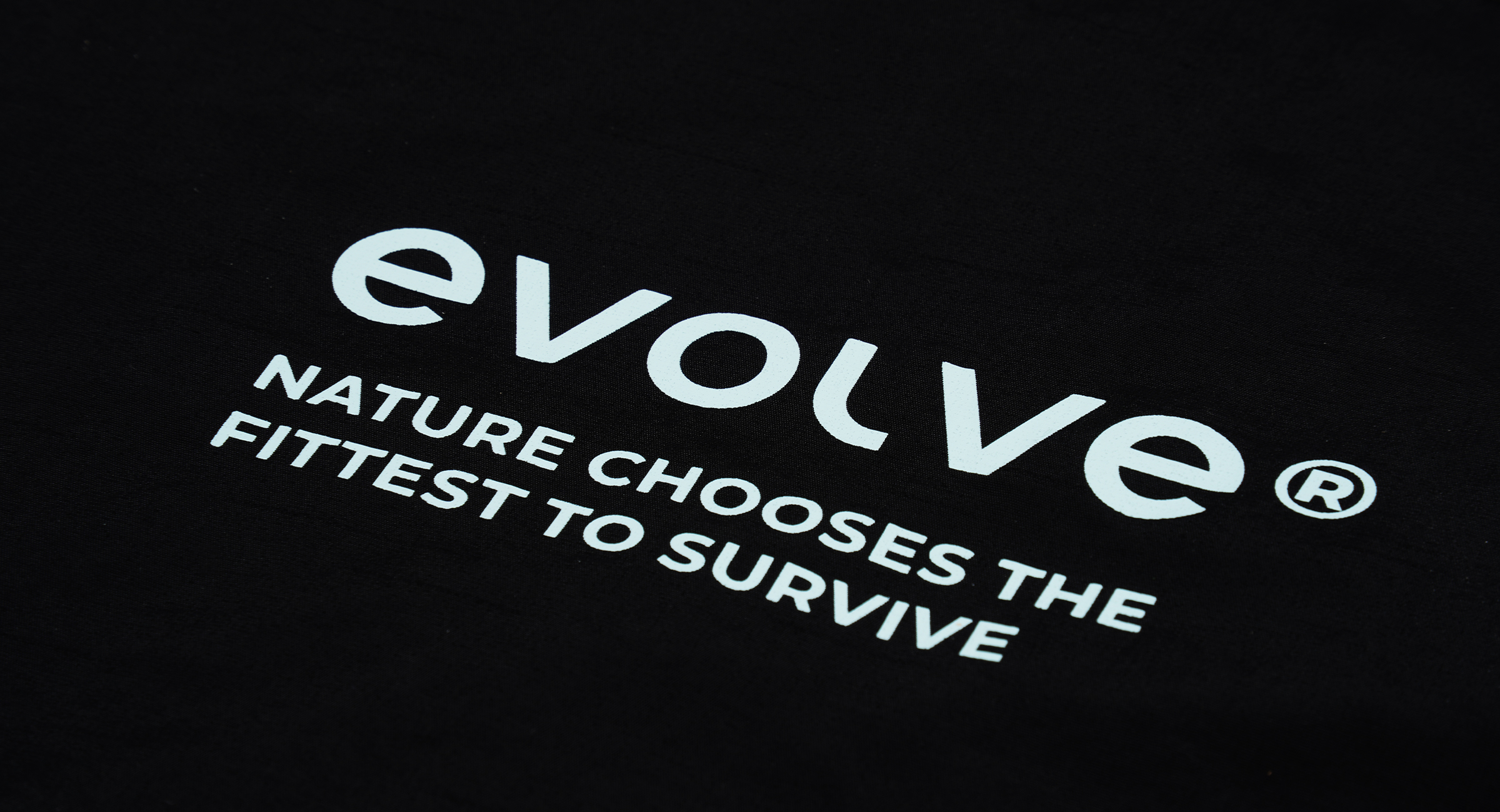 evolve-X-Musette-5.jpg