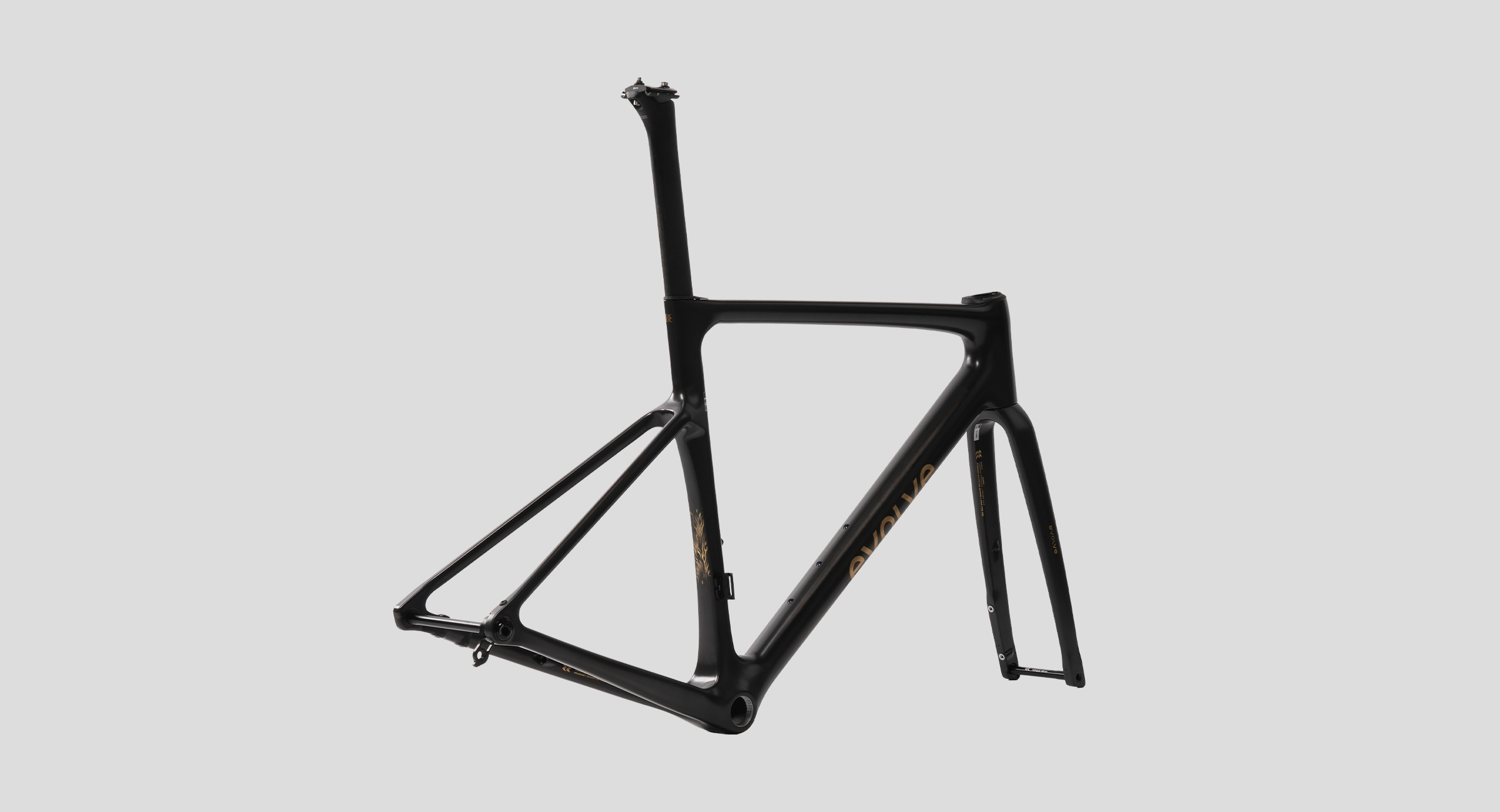evolve_CIMA-Speed-Matte-Carbon-Gold-3.jpg