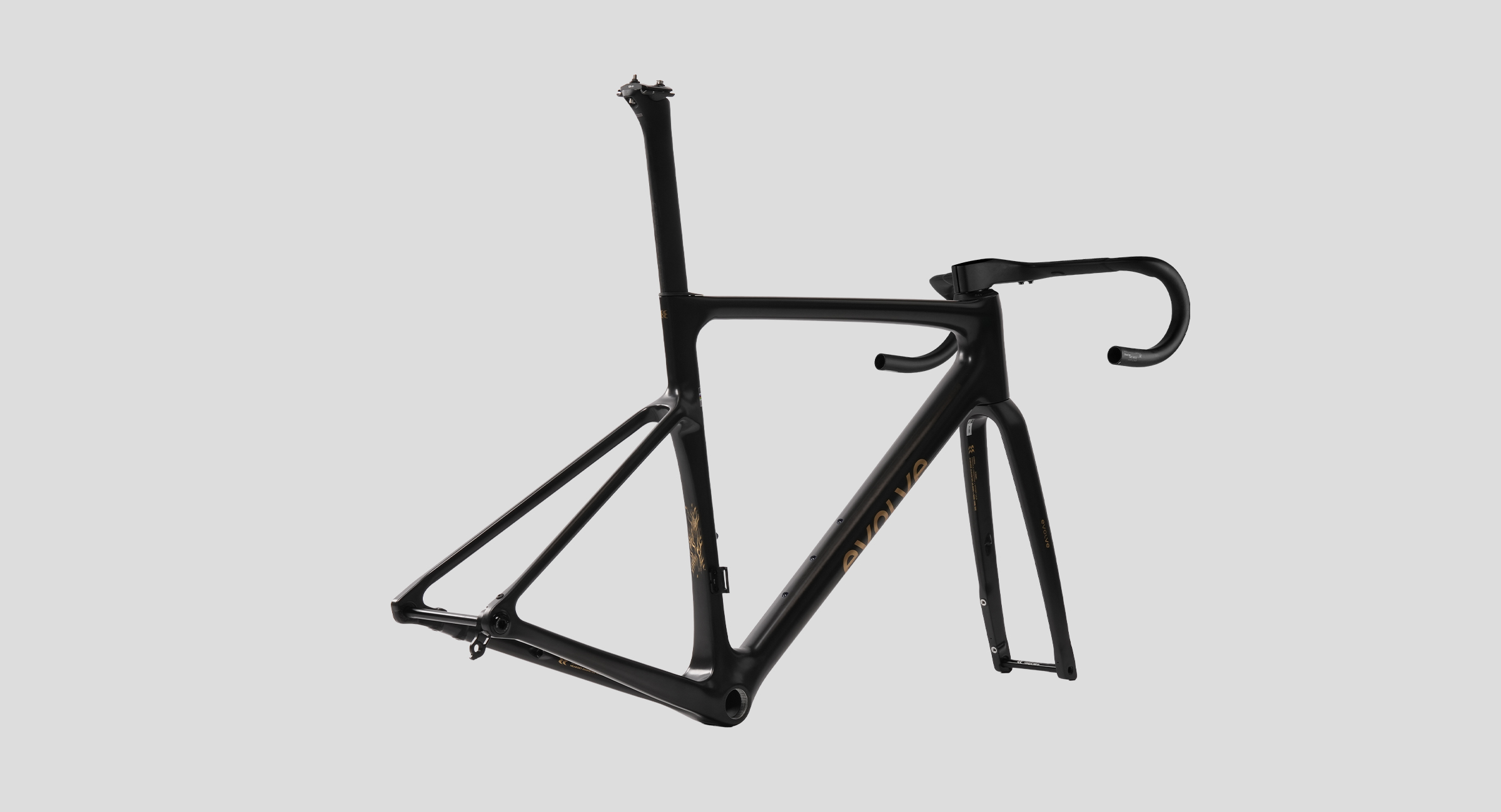 evolve_CIMA-Speed-Matte-Carbon-Gold-6.jpg